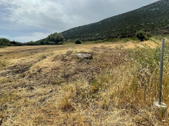 Οικόπεδο στα Λουκίσια