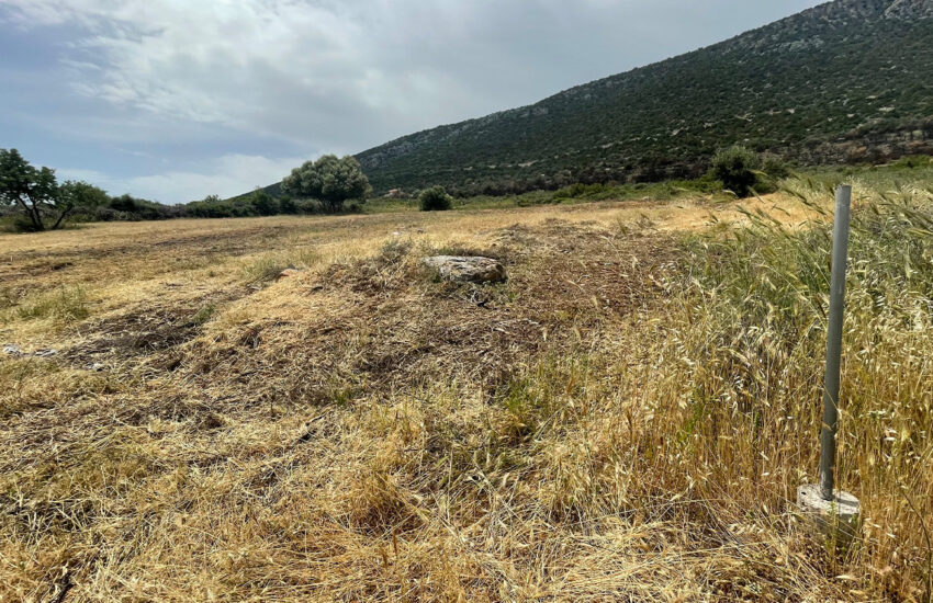 Οικόπεδο στα Λουκίσια